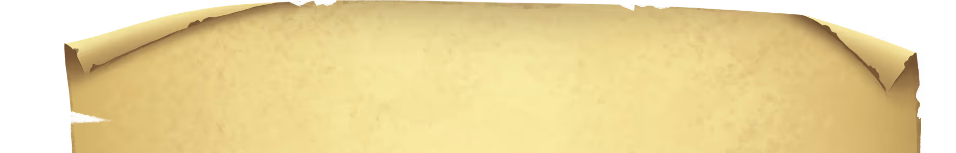 Scroll Top